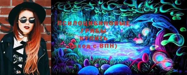 сатива Абдулино
