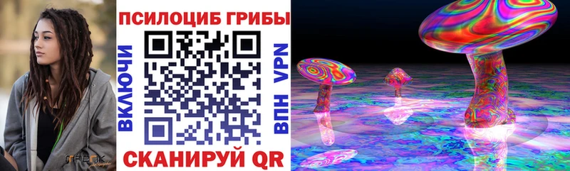 ссылка на мегу маркетплейс  Судогда  Галлюциногенные грибы Magic Shrooms 